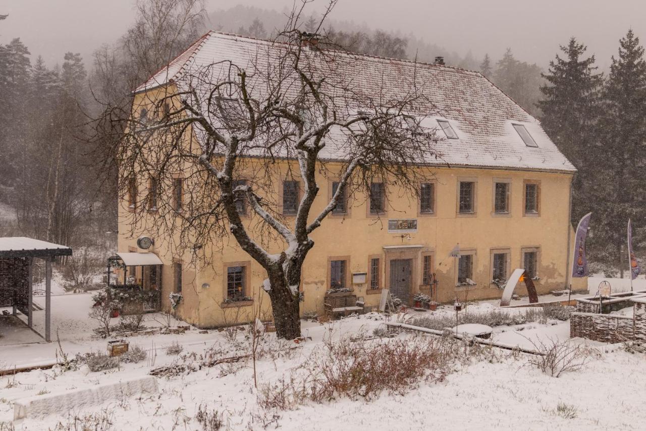 Holzwerk Oybin Apartment Екстериор снимка